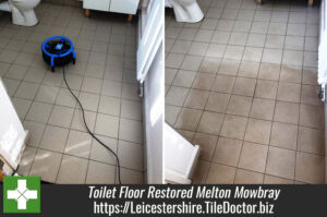 Ceramic Tiled Toilet Floor Restored At Car Dealership In Melton Mowbray